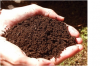 Vegyi anyagok hatása talaj szénanyagcseréjére