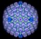Herpes simplex vírus
