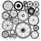 Guidelines to description of the role and function of environmental compartments and organisms