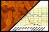 Microorganisms >> Trends and regularities