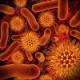 Baktériumok és vírusok