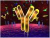 http://www.biojobblog.com/uploads/image/monoclonal-antibody-services.jpg