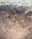 Soil deterioration