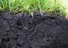 A talaj mikrobiális biomassza meghatározása fumigációs módszerekkel