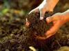 A talaj összes szénhidrát-tartalmának meghatározása