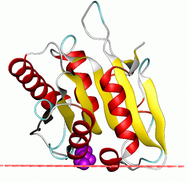 http://opm.phar.umich.edu/images/proteins/1isp.gif