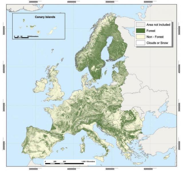 Forest cover in Europe