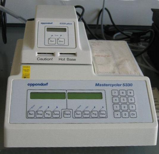 A PCR készülék