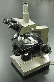 Fáziskontraszt mikroszkóp
