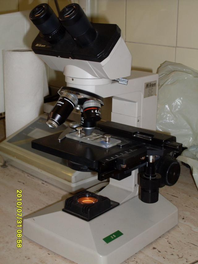 Sejtszámláslás mikroszkóppal