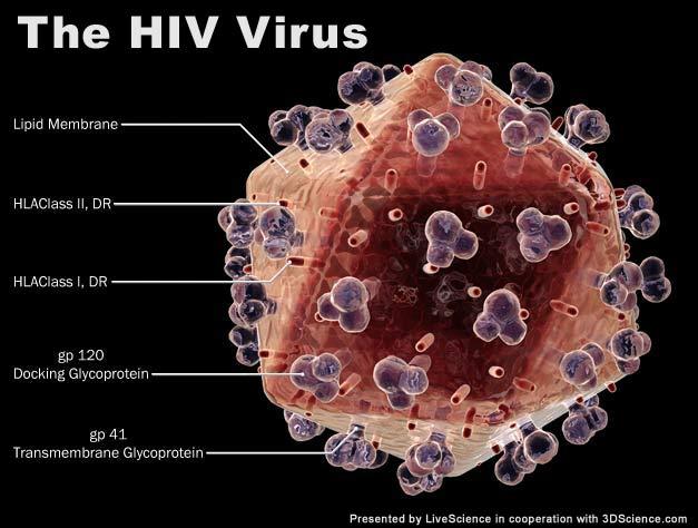 AIDS-t okozó vírus