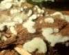 Valódi nyálkagombák (Myxomycota) törzse